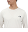 ザ・ノース・フェイス（THE NORTH FACE）長袖Tシャツ GTDメランジクルー NT12597 GS