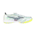 ミズノ（MIZUNO）サッカートレーニングシューズ サッカーシューズ ミズノアルファII ELITE AS P1GD256209