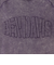 ベンデイビス（BEN DAVIS）パッチワーク ロゴブリーチ加工 長袖Tシャツ 25380044-PUL