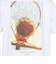 アクター（AKTR）バスケットボールウェア HALFTONE PHOTO Tシャツ 224-004005 WH