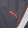 プーマ（PUMA）TAD ウーブンメッシュライナー パンツ 527052 69 GRY