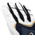 アシックス（ASICS）バッティング用グローブ GOLDSTAGE BATTING GLOVE 3121B365.410