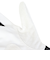 アシックス（ASICS）バッティング用グローブ GOLDSTAGE BATTING GLOVE 3121B365.101