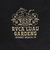 ルーカ（RVCA）LUAU GARDEN ボードショーツ BF041534 BLK