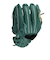 ローリングス（Rawlings）少年軟式用グラブ オールラウンド用 野球グローブ ジュニア ハイパーテック GJ5R9BFS-DGRN