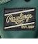 ローリングス（Rawlings）少年軟式用グラブ オールラウンド用 野球グローブ ジュニア ハイパーテック GJ5R9BFS-DGRN