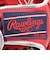 ローリングス（Rawlings）ソフトボール用グラブ グローブ レディース オールラウンド用 ソフト HOH DP GS5HDS66-SC/GRY
