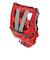 ローリングス（Rawlings）ソフトボール用グラブ グローブ レディース オールラウンド用 ソフト HOH DP GS5HDS65-SC/GRY