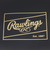 ローリングス（Rawlings）野球 シューズケース ESC15S01-B/BLU