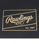 ローリングス（Rawlings）野球 シューズケース ESC15S01-B/BLU