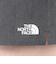 ザ・ノース・フェイス（THE NORTH FACE）フレキシブルショーツ NBW22581 ZC