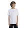 アディダス（adidas）ジュニア トレイン エッセンシャルズ ロゴ レギュラーフィット 半袖Tシャツ JTH37-IW0853