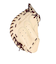 ミズノ（MIZUNO）軟式用グラブ 捕手用 Mミズノプロ 號 Compact BSS 24SS 1AJCR30120 8066 野球グローブ お一人様一点まで
