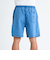 クイックシルバー（Quiksilver）TAXER ウォークショーツ 25SPEQYWS03877BSW0