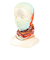 バフ（BUFF）ネックウエア COOLNET UV 576767 THEABERRY MULTI