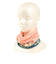 バフ（BUFF）ネックウエア COOLNET UV 564450 ZION