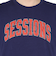 セッションズ（SESSIONS）クラック ロゴ 半袖Tシャツ 257226 NVY