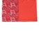 プーマ（PUMA）ボーイズ TAD ESS ポリ AOP Tシャツ & ショーツ 上下セット 687812 15 RED