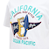 オーシャンパシフィック（Ocean Pacific）半袖Tシャツ California Bear 515502WT