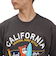 オーシャンパシフィック（Ocean Pacific）半袖Tシャツ California Bear 515502CGY