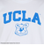 チャンピオン-ヘリテイジ（CHAMPION-HERITAGE）USA T1011 ショートスリーブTシャツ C5-B305 012