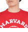 チャンピオン-ヘリテイジ（CHAMPION-HERITAGE）USA T1011 ショートスリーブTシャツ C5-B307 973