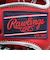 ローリングス（Rawlings）ソフトボール用グラブ グローブ 投手用 女性専用 HOH DP COLORS GS5HDKM5-SC/GRY