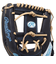ローリングス（Rawlings）ソフトボール用グラブ 内野手用 女性専用 HOH DP COLORS GS5HDR34GF-N/SX