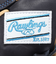 ローリングス（Rawlings）ソフトボール用グラブ 内野手用 女性専用 HOH DP COLORS GS5HDR34GF-N/SX