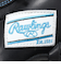 ローリングス（Rawlings）ソフトボール用グラブ オールラウンド ハイパーテック R2G for ガールズフィット GS5HTY14GF-B