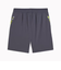 プーマ（PUMA）サッカーウェア INDIVIDUALCUP ショーツ 66020508