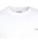 ラコステ（LACOSTE）アウトラインクロッククルーネックTシャツ TH5582-99001