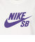 ナイキ（NIKE）スケートボード ロゴ 半袖Tシャツ CV7540-133