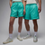 バスケットボールウェア プールサイド ショートパンツ 13cm HF9371-392