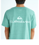 クイックシルバー（Quiksilver）DOUBLE LOGO 半袖Tシャツ 25SUQST252013GRN