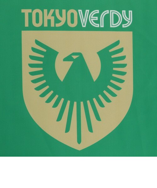 東京ヴェルディ（Tokyo Verdy）フラッグ Mサイズ GRN グリーン