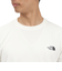 ザ・ノース・フェイス（THE NORTH FACE）半袖 ワンポイントロゴティーシャツ NT32588 GS
