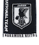日本サッカー協会（JFA）プレイヤーズタオルマフラー 2024 中村敬斗 24JFA-004-13