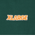 エクストララージ（XLARGE）SLANTED OG 半袖Tシャツ 101252011010-GREEN