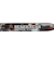 ブラックフライ（BLACK FLYS）サングラス FLY EVANS BF-13505-04