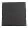 ブラックフライ（BLACK FLYS）サングラス FLY EVANS BF-13505-04