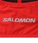 サロモン（SALOMON）ランニングウェストポーチ PULSE BELT LC2180000