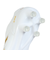 ニューバランス（new balance）サッカースパイク ハードグラウンド用 サッカーシューズ 442 v2 Pro HG MS41HCW22E