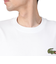 ラコステ（LACOSTE）シェニールワニロゴ ルーズフィット 半袖Tシャツ TH2745-10001