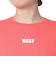 リーフ（REEF）HERITAGE ロゴ 半袖 Tシャツ RFTEL2507-CRL