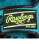 ローリングス（Rawlings）少年軟式用グラブ オールラウンド用 野球グローブ ハイパーテックR9シリーズG9M GJ5FR9G9M-TE