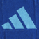 アディダス（adidas）タオル CP HT ハンドタオル 青 34×25cm ADJT-965 BLU ウォッシュタオル プレゼント ギフト 抗菌 防臭