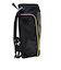 ミズノ（MIZUNO）野球 バッグ バックパックJr. 28L 限定カラー 1FJDC85255 F