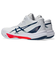 アシックス（ASICS）バレーボールシューズ SKY ELITE FF MT 3 スカイエリート 1051A081.104
