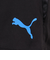 プーマ（PUMA）サッカーウェア INDIVICUP TR ショーツ 66049907